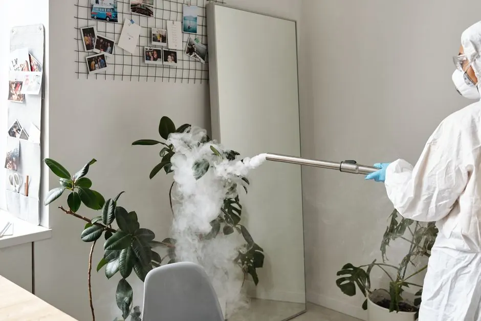 How to prevent mold growth after water damage in your home