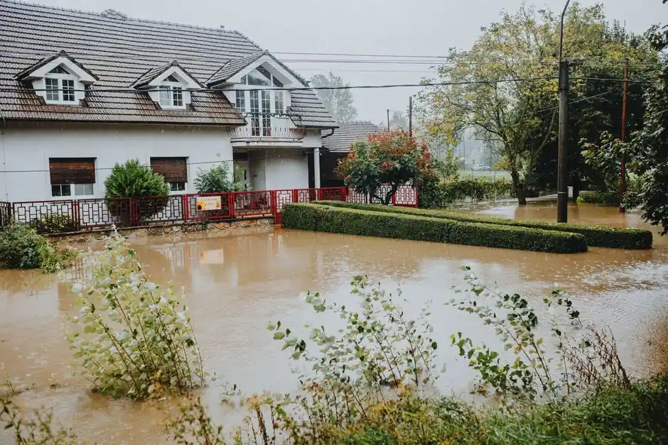 Emergency water extraction services: when do you need them?