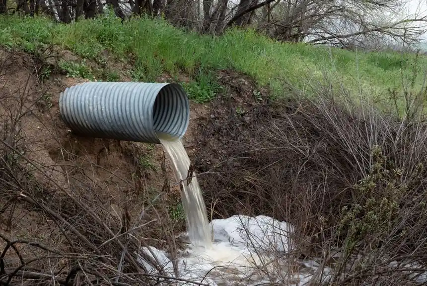 Signs of sewage backup in your Bellingham property