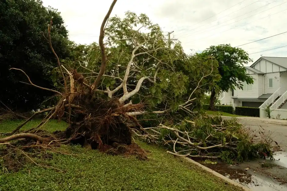 How storm damage repair can protect your home in Bellingham