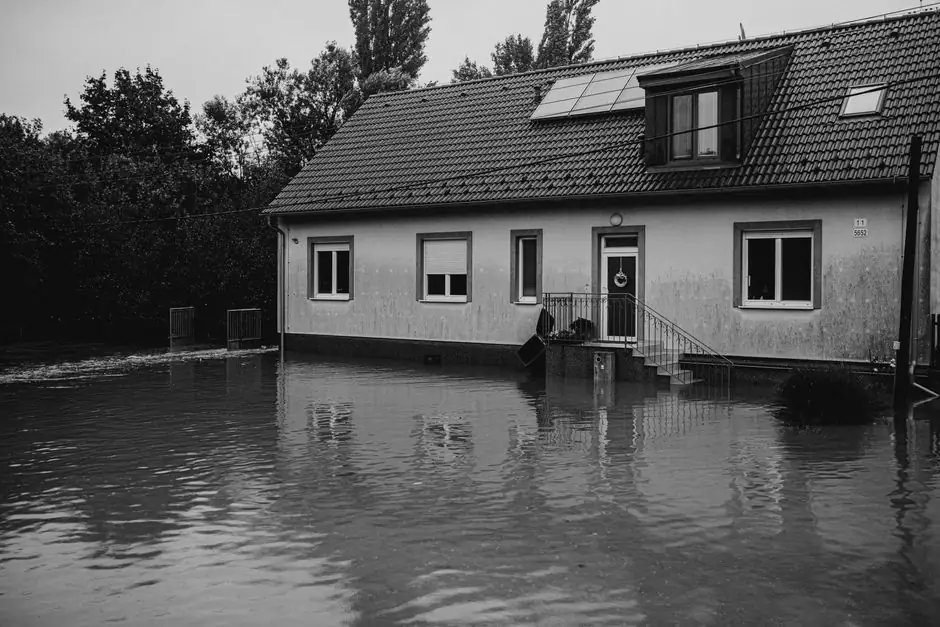 Why is my basement flooding in Bellingham?