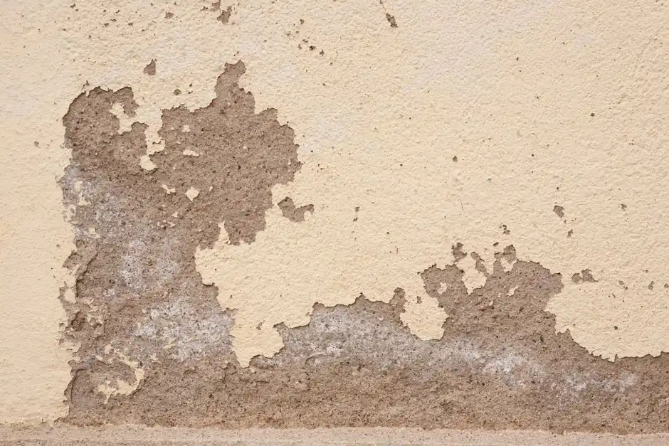 Local water damage restoration team in bellingham